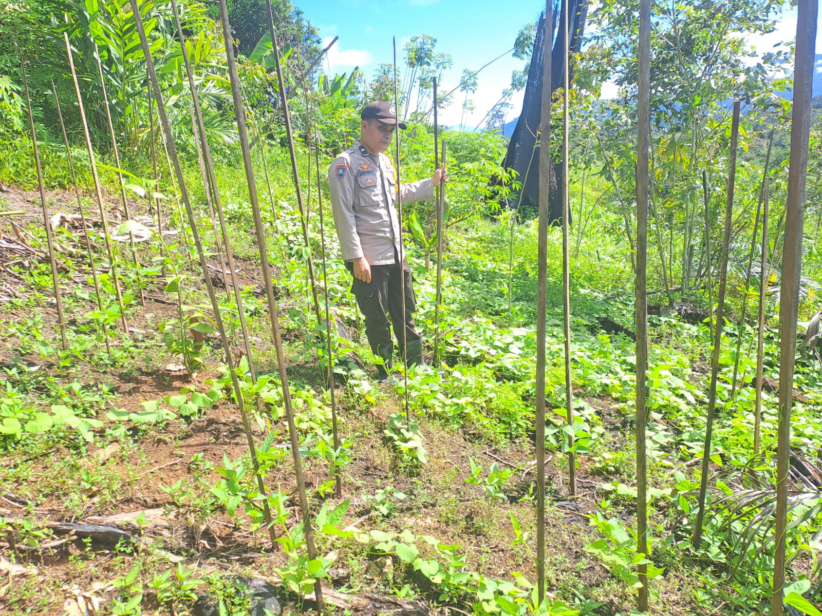 Mendukung Ketahanan Pangan, Personil Polsek Katingan Hulu dan Bukit Raya Cek Lokasi Pemanfaatan Pekarangan Warga.