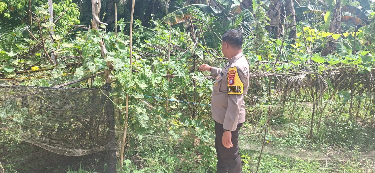 Mendukung Ketahanan Pangan, Personil Polsek sanaman mantikei Cek Lokasi Pemanfaatan Pekarangan Warga.