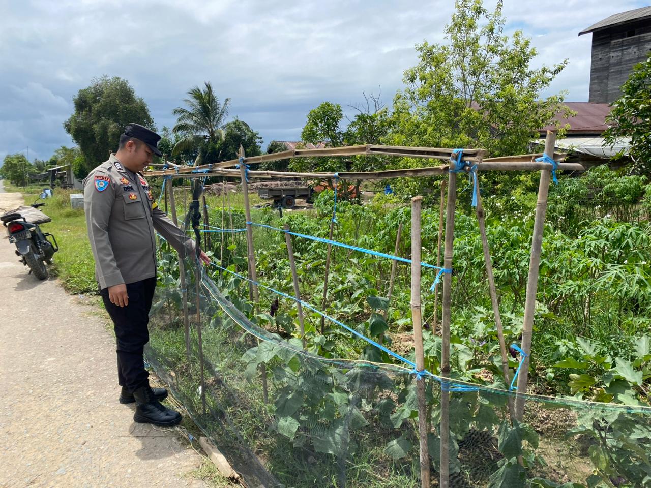 Dalam Rangka Mendukung Program Pemerintah, Bhabinkamtibmas Desa Kampung Melayu Polsek Mendawai Cek Lokasi Pemanfaatan Lahan Pekarangan Warga
