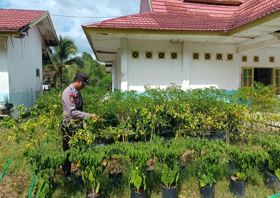 Bhabinkamtibmas Laksanakan Calling System, Ajak Warga Manfaatkan Pekarangan Bergizi untuk Ketahanan Pangan