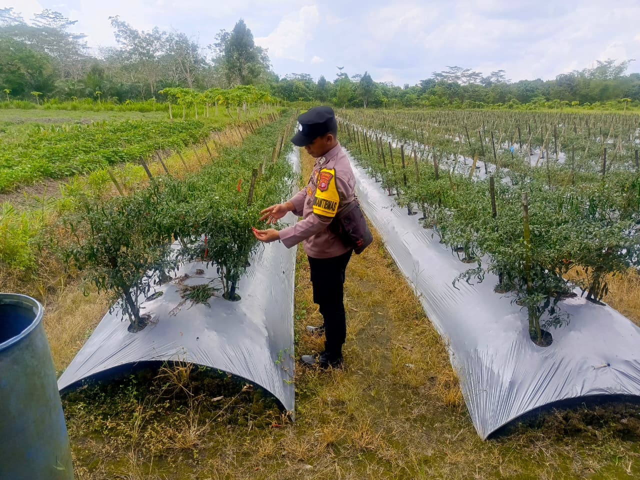 Bhabinkamtibmas Polsek Mendawai cek lokasi pemanfaatan pekarangan rumah warga binaan.