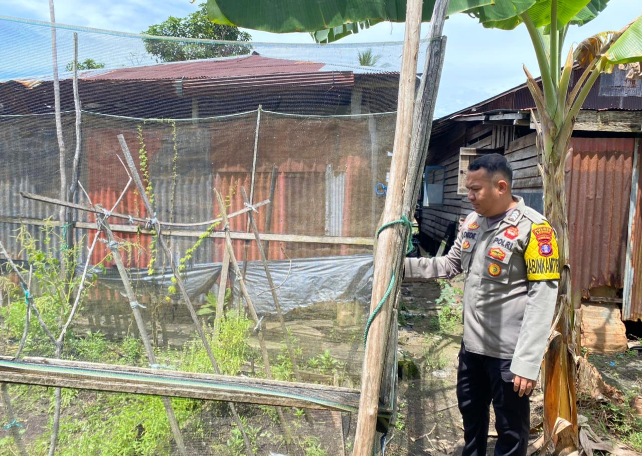 Dalam Rangka Mendukung Program Pemerintah, Bhabinkamtibmas Desa Kampung Melayu Polsek Mendawai Cek Lokasi Pemanfaatan Lahan Pekarangan Warga