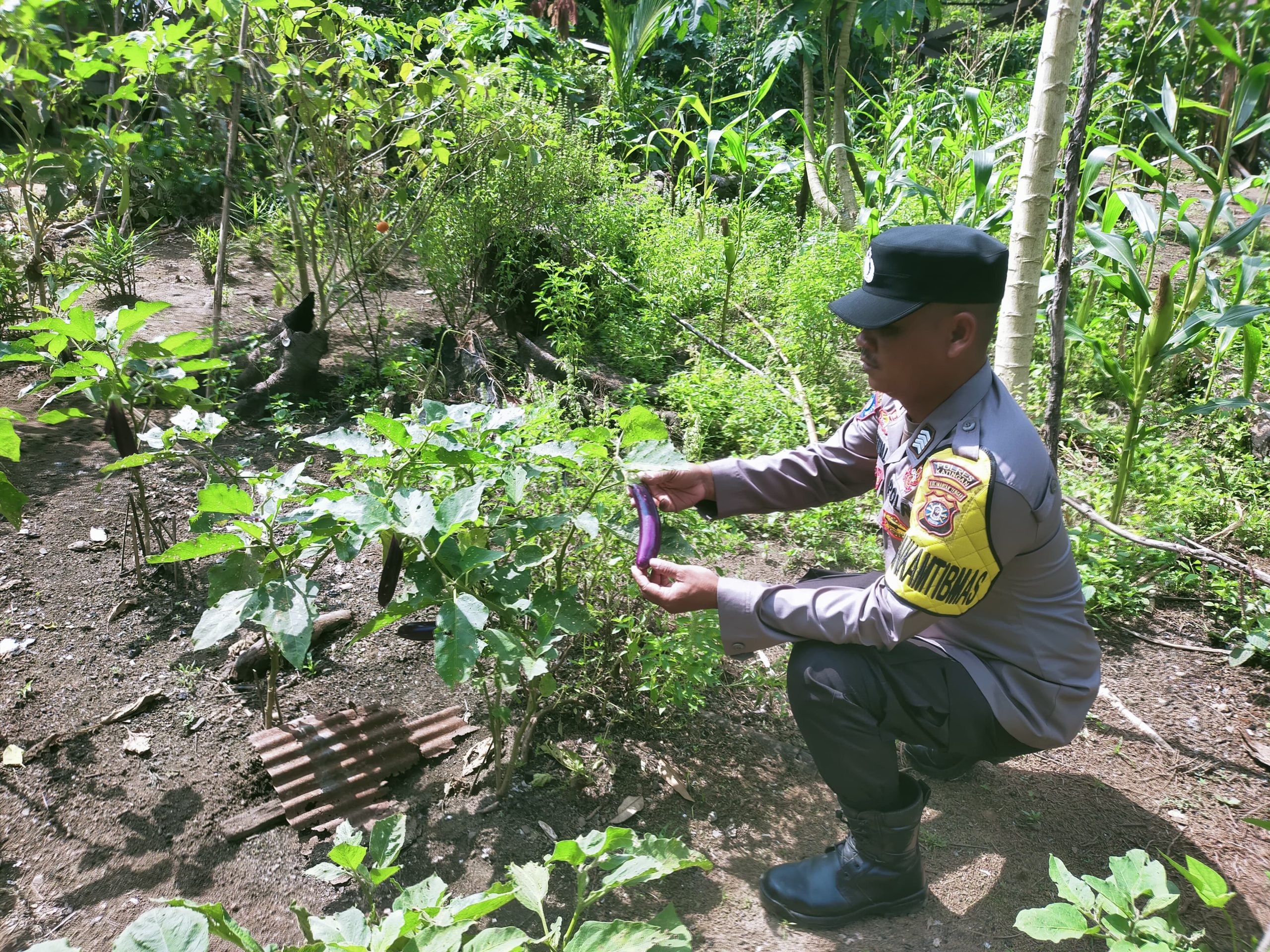 Mendukung Ketahanan Pangan, Personil Polsek sanaman mantikei Cek Lokasi Pemanfaatan Pekarangan Warga.
