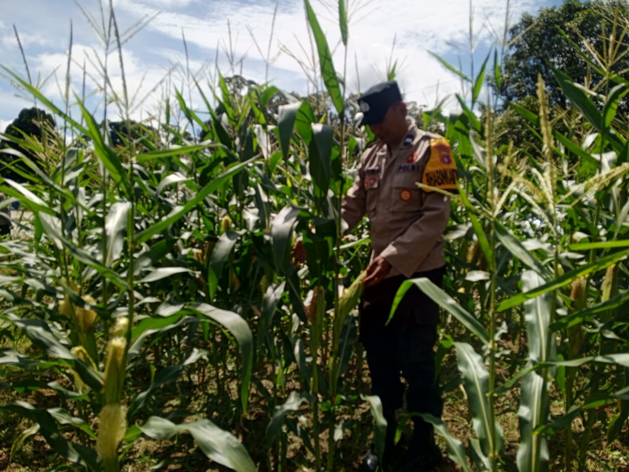 Polsek Tewang Sangalang Garing dan Pulau Malan Imbau Warga Tingkatkan Pemanfaatan Lahan Untuk Ketahanan Pangan
