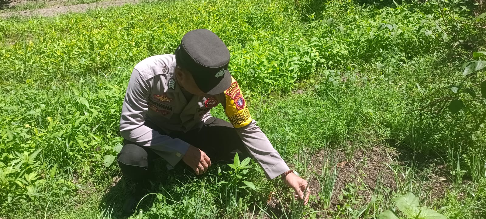 Mendukung ketahanan pangan, Personil Polsek Katingan Kuala cek lokasi pemanfaatan lahan warga berkebun holtikultura