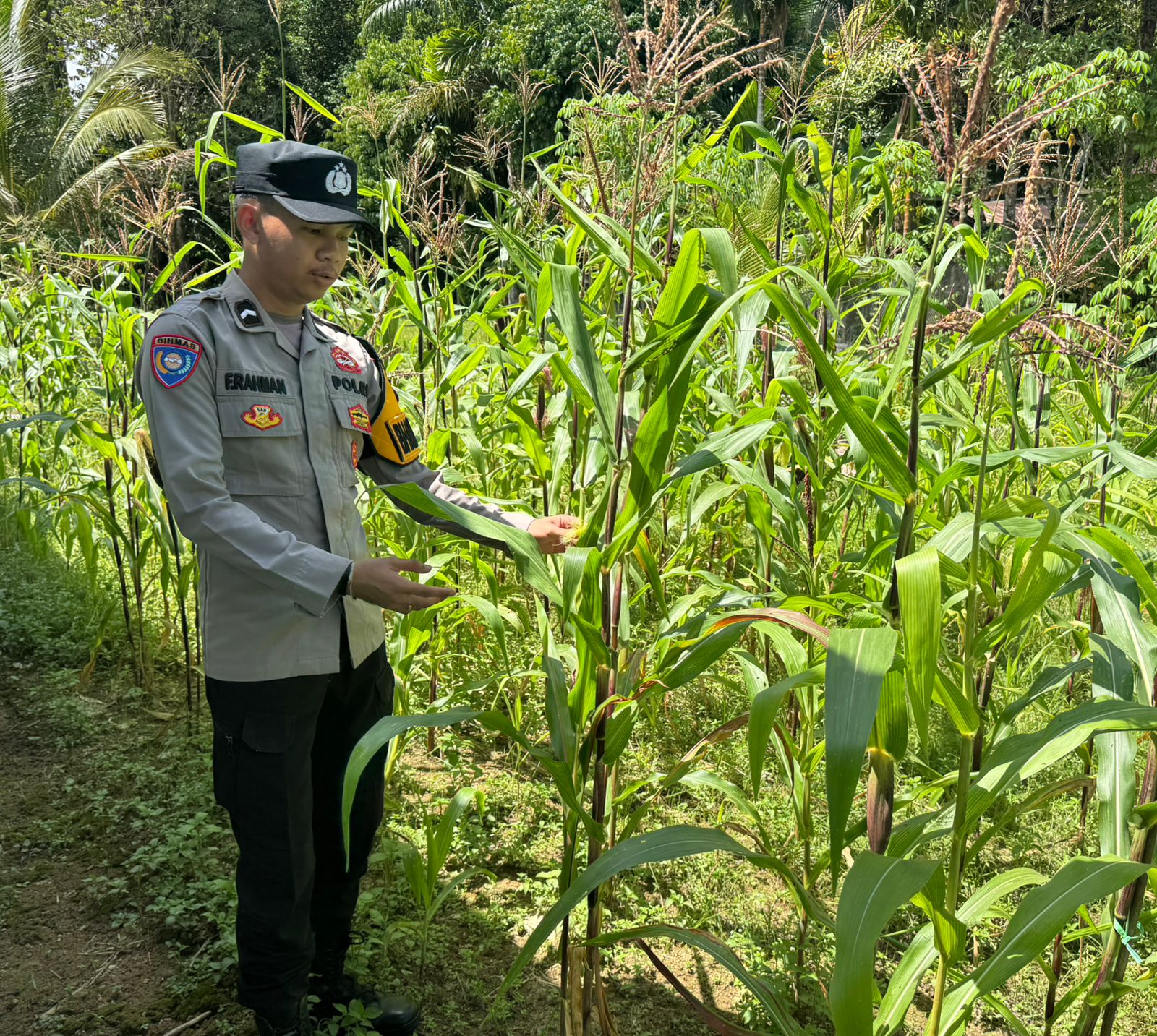 Polsek Tewang Sangalang Garing dan Pulau Malan Imbau Warga Tingkatkan Pemanfaatan Lahan Untuk Ketahanan Pangan