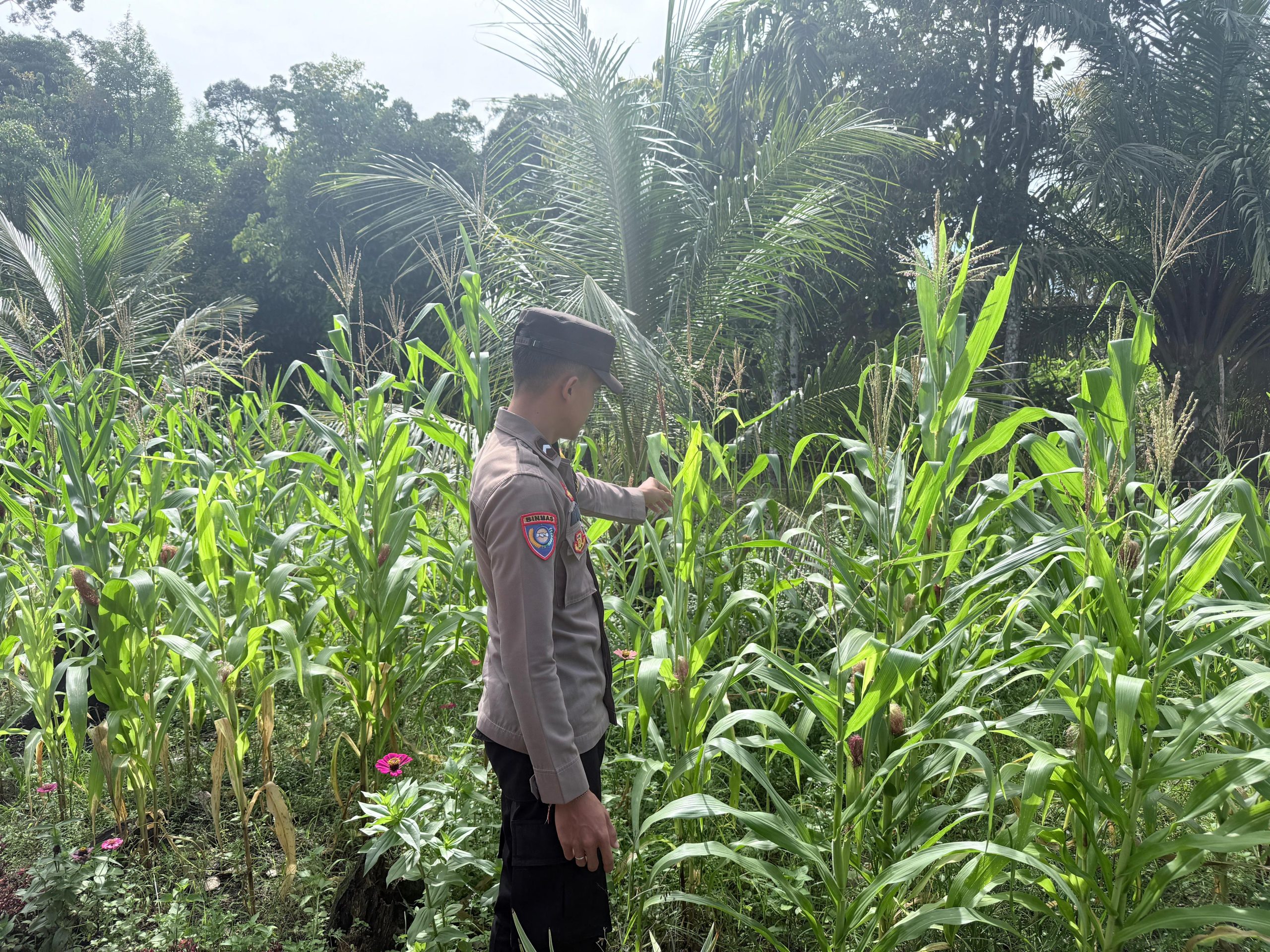 Polsek Tewang Sangalang Garing dan Pulau Malan imbau warga tingkatkan pemanfaatan lahan untuk ketahanan pangan