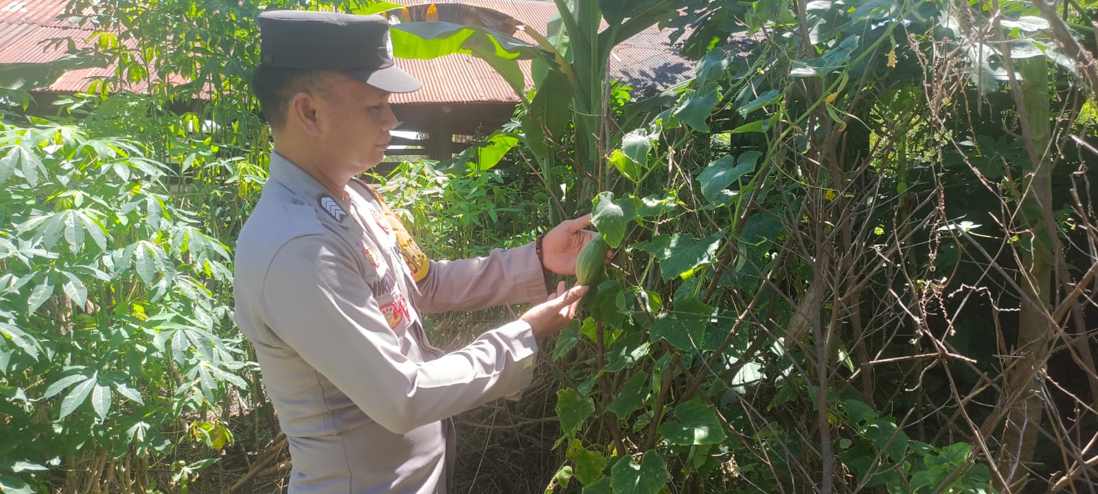 Mendukung ketahanan pangan, Personil Polsek Katingan Kuala cek lokasi pemanfaatan lahan warga berkebun holtikultura