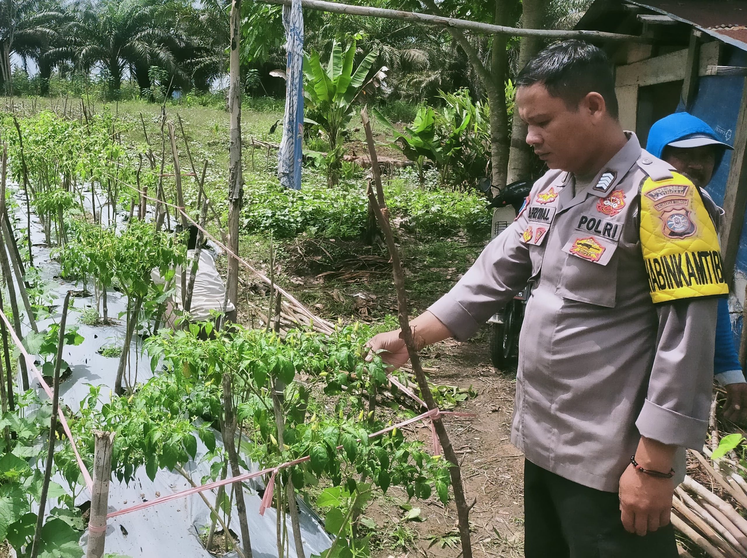 Mendukung Ketahanan Pangan, Personil Polsek sanaman mantikei Cek Lokasi Pemanfaatan Pekarangan Warga.