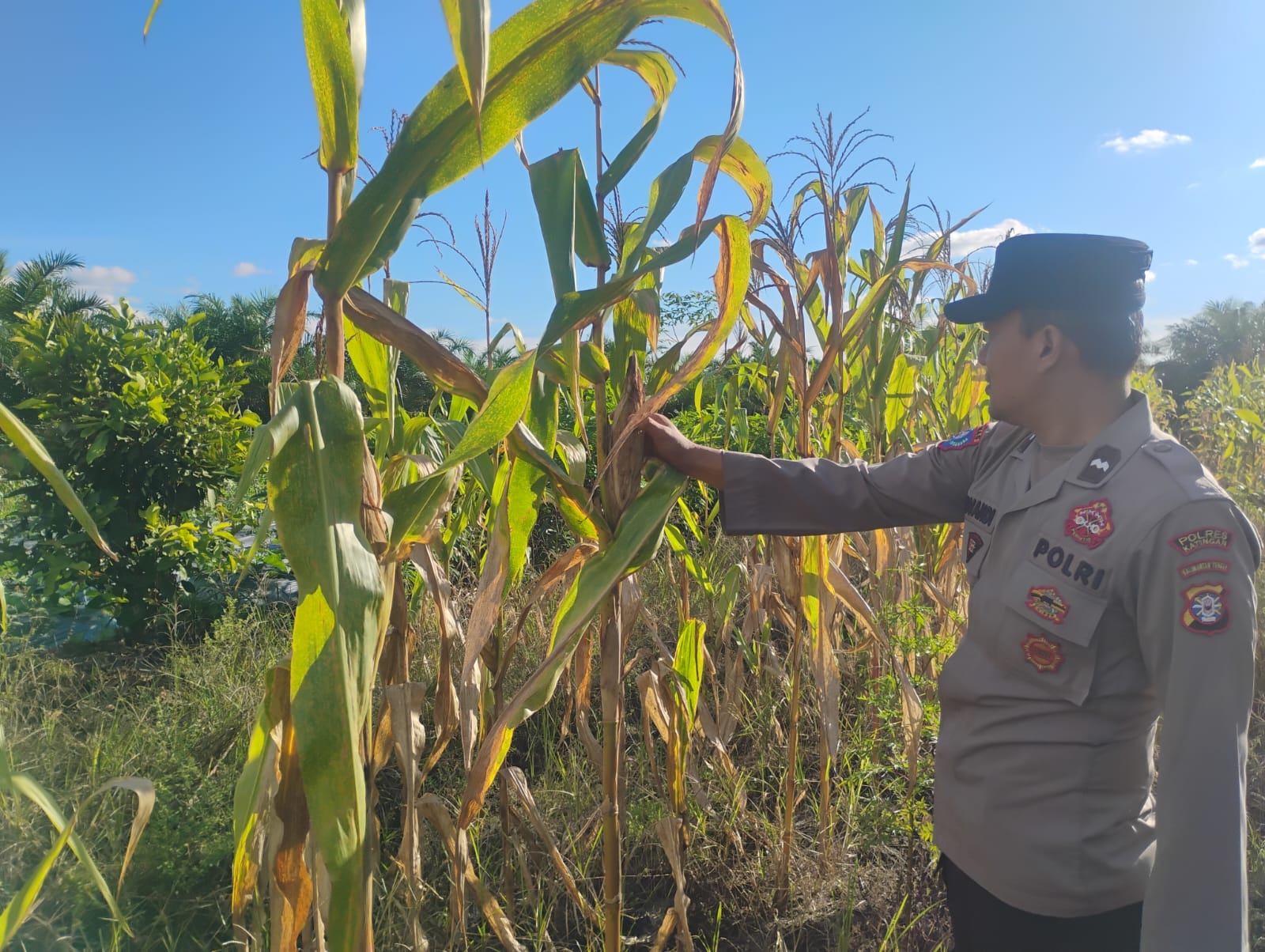 Personil Polsek Tasik Payawan dan Kamipang Cek Lokasi Pemanfaatan Pekarangan Warga