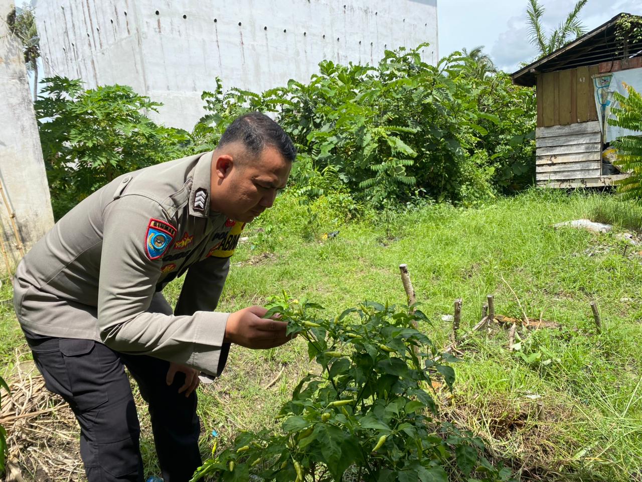 Dalam Rangka Mendukung Program Pemerintah, Bhabinkamtibmas Desa Kampung Melayu Polsek Mendawai Cek Lokasi Pemanfaatan Lahan Pekarangan Warga