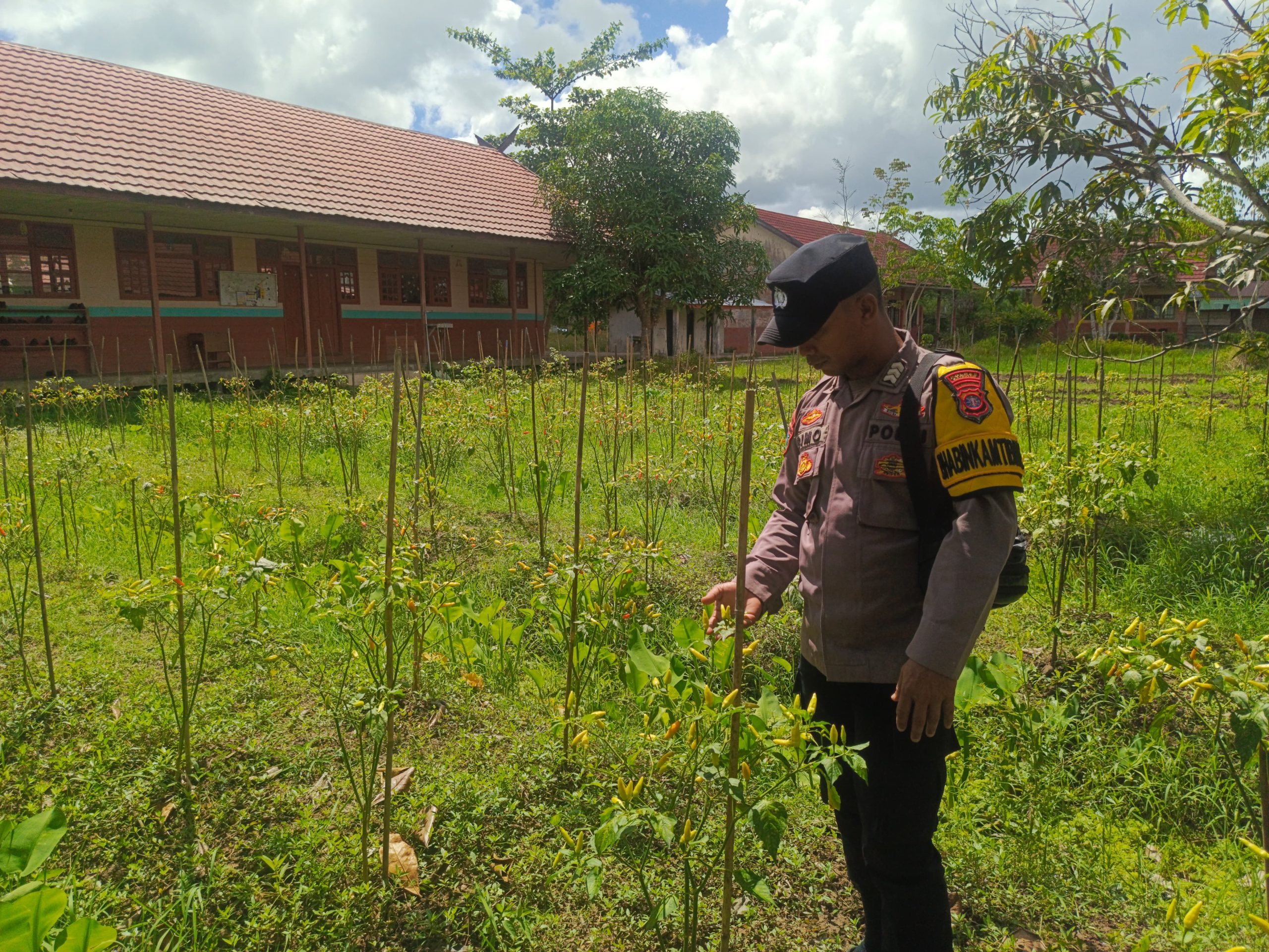 Bhabinkamtibmas Polsek Mendawai cek lokasi pemanfaatan pekarangan rumah warga binaan.