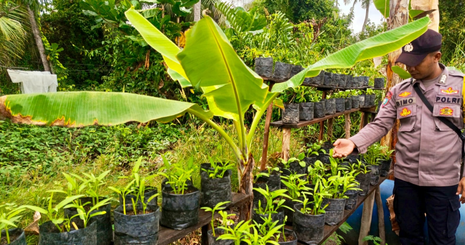Bhabinkamtibmas Polsek Mendawai cek lokasi pemanfaatan pekarangan rumah warga binaan.