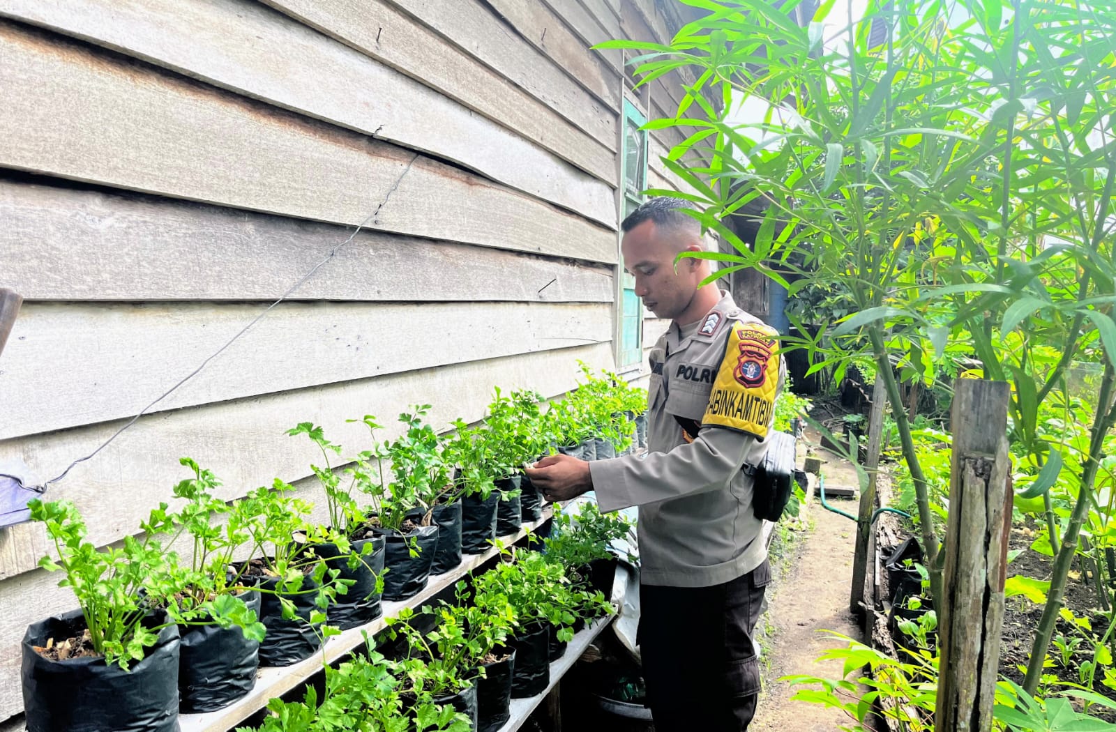 Bhabinkamtibmas Polsek Katingan Kuala Himbau Masyarakat Untuk Tidak Membakar Hutan dan Lahan