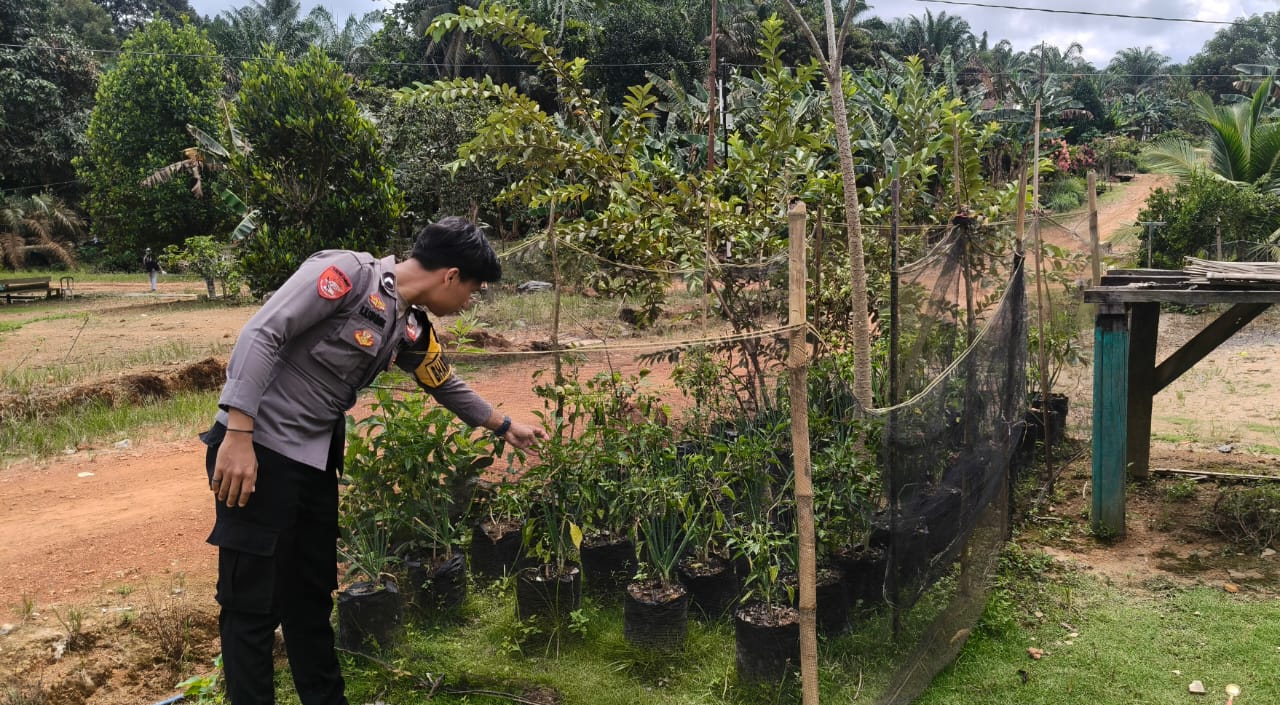 Bhabinkamtibmas Polres Lamandau sambangi pekarangan bergizi, dukung ketahanan pangan keluarga