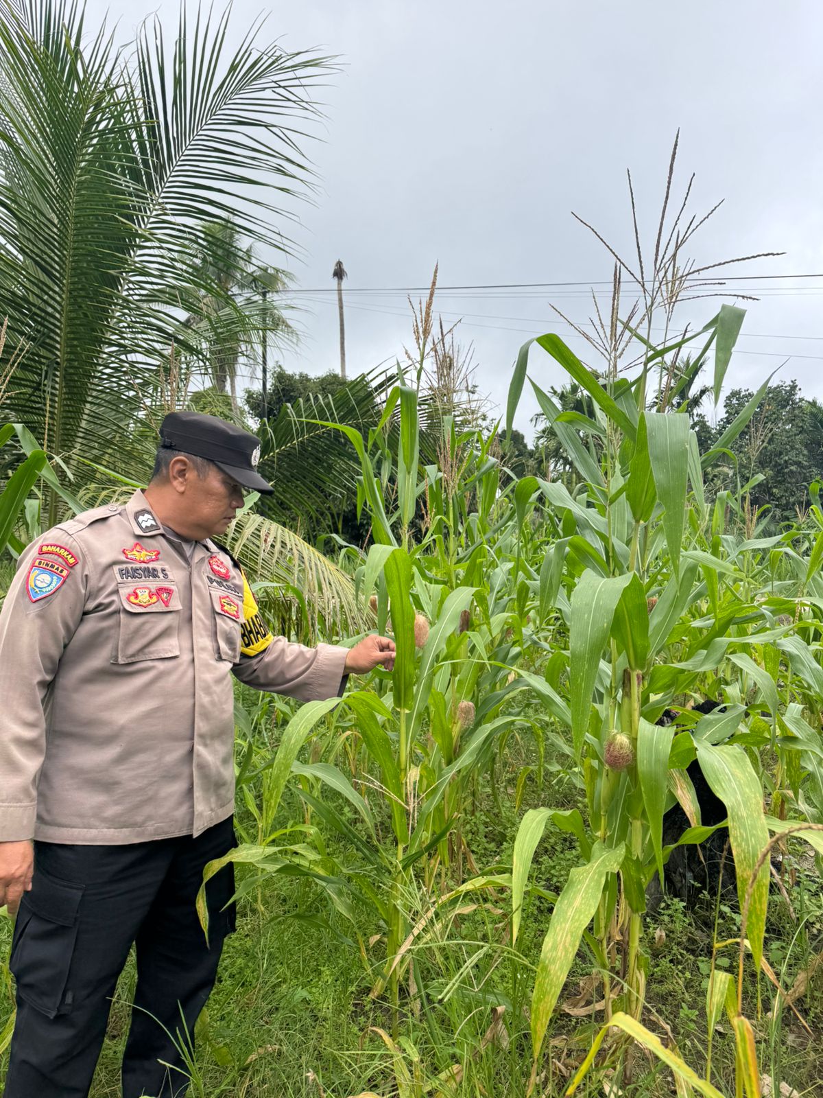 Polsek Tewang Sangalang Garing dan Pulau Malan Imbau Warga Tingkatkan Pemanfaatan Lahan Untuk Ketahanan Pangan