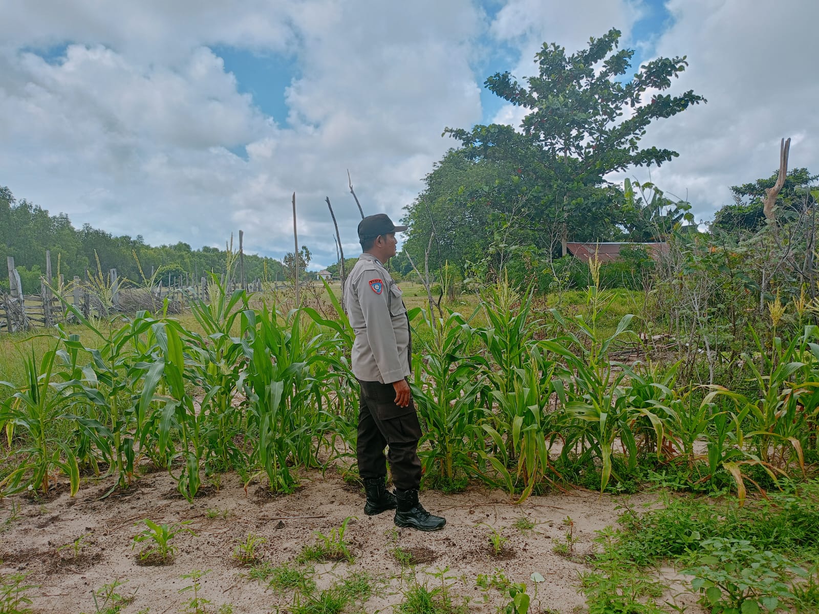 Mendukung ketahanan pangan, Personil Polsek Katingan Kuala cek lokasi pemanfaatan lahan warga berkebun holtikultura