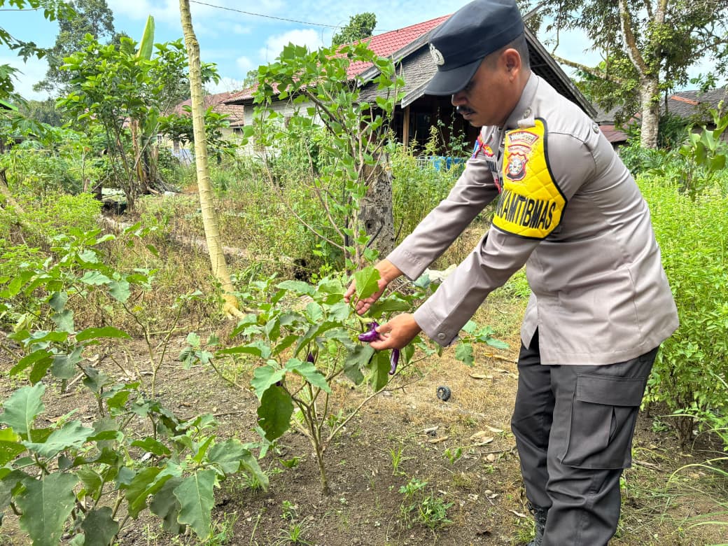 Mendukung Ketahanan Pangan, Personil Polsek sanaman mantikei Cek Lokasi Pemanfaatan Pekarangan Warga.