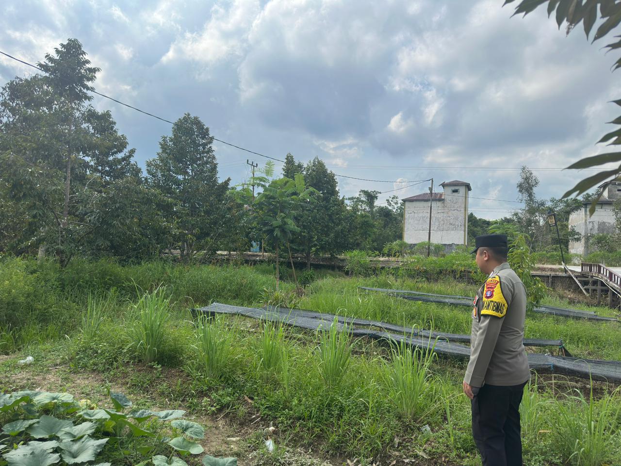 Dalam Rangka Mendukung Program Pemerintah, Bhabinkamtibmas Desa Kampung Melayu Polsek Mendawai Cek Lokasi Pemanfaatan Lahan Pekarangan Warga
