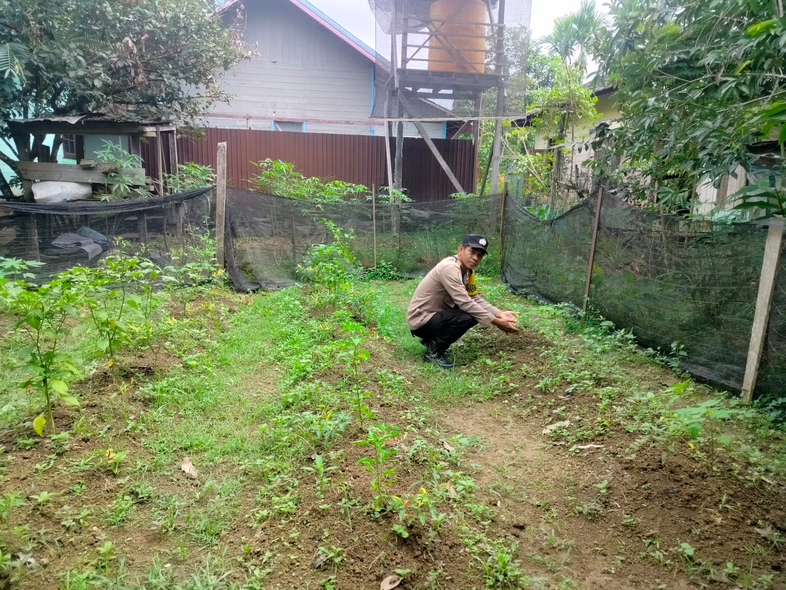 Polsek Marikit Sukseskan Pangan Mandiri lewat Monitoring Lahan