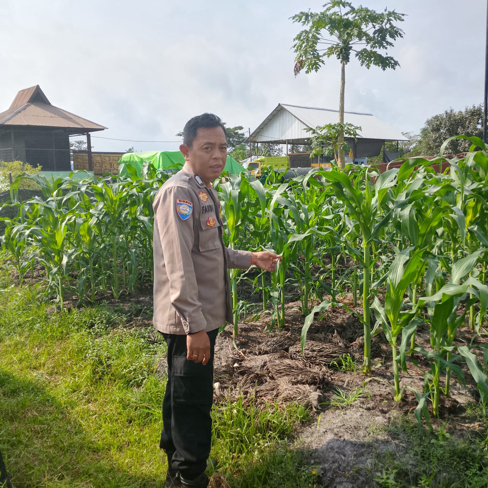 Bhabinkambtibmas Bangkiang,Cek Lokasi Pemanfaatan Pekarangan Warga.