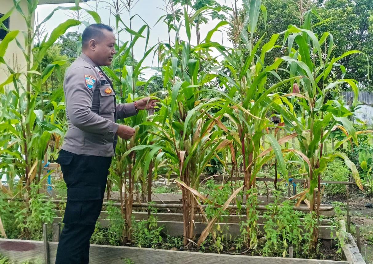 Mendukung Ketahanan Pangan, Personil Polsek Katingan Hulu Cek Lokasi Pemanfaatan Pekarangan Warga.