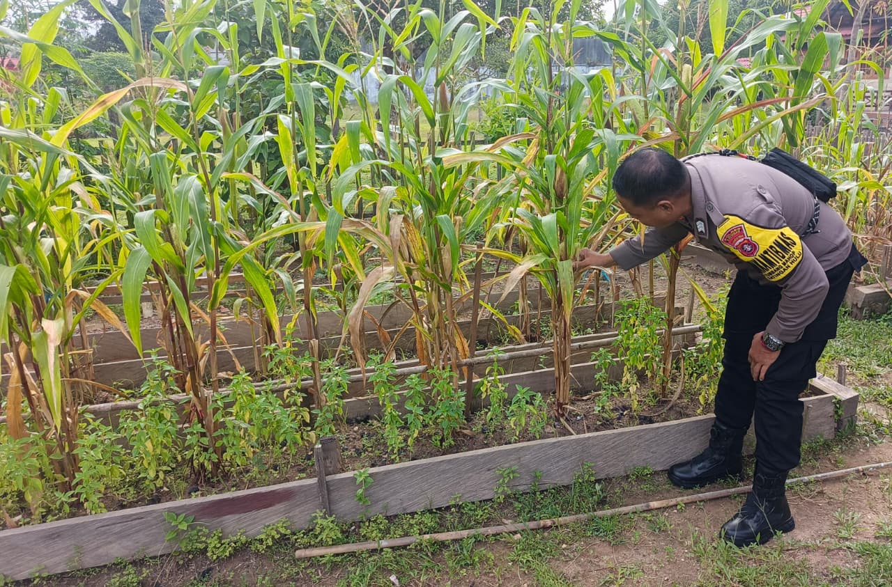 Mendukung Ketahanan Pangan, Personil Polsek Katingan Hulu Cek Lokasi Pemanfaatan Pekarangan Warga.