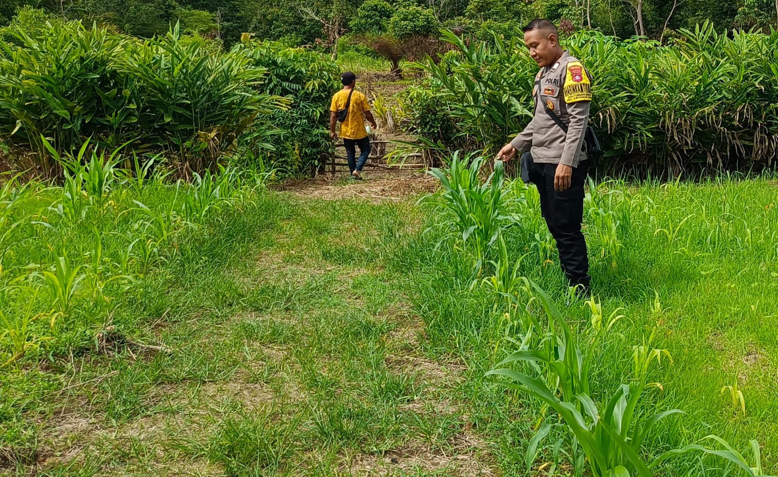 Mendukung Ketahanan Pangan, Personil Polsek Katingan Hulu Cek Lokasi Pemanfaatan Pekarangan Warga.