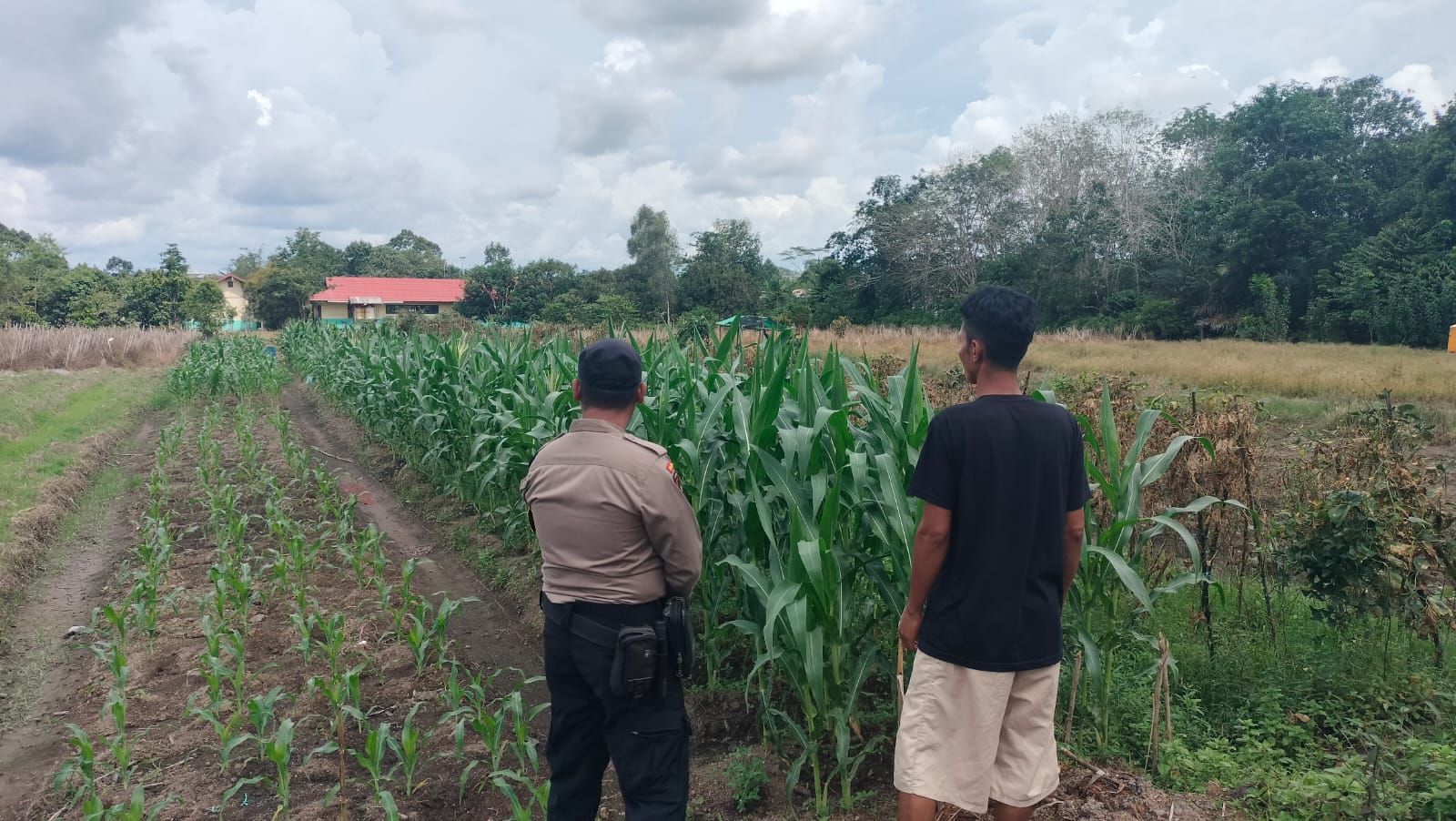 Dalam Rangka Mendukung Program Pemerintah, Bhabinkamtibmas Desa Mekartani Polsek Mendawai Cek Lokasi Pemanfaatan Lahan Pekarangan Warga