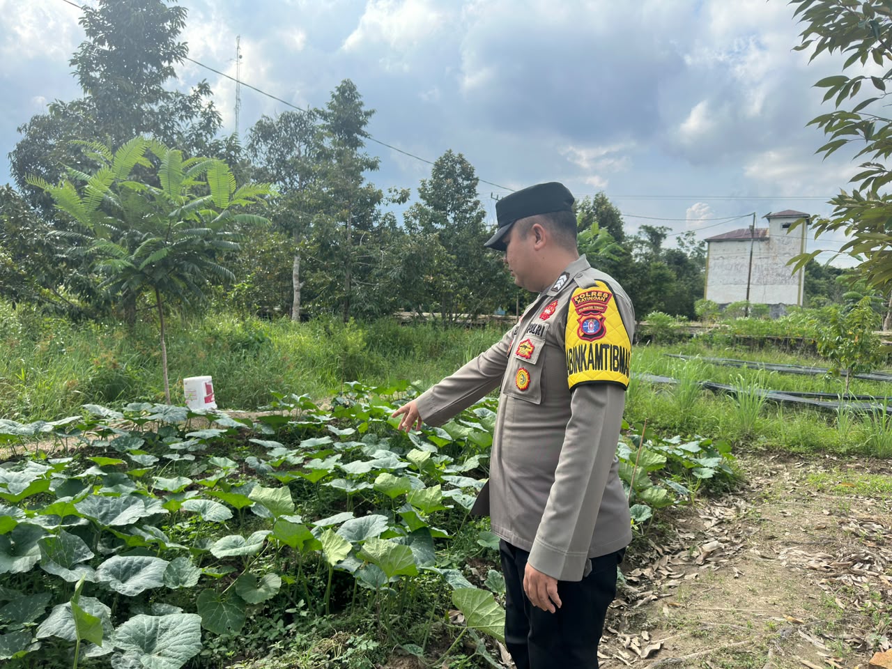 Dalam Rangka Mendukung Program Pemerintah, Bhabinkamtibmas Desa Kampung Melayu Polsek Mendawai Cek Lokasi Pemanfaatan Lahan Pekarangan Warga