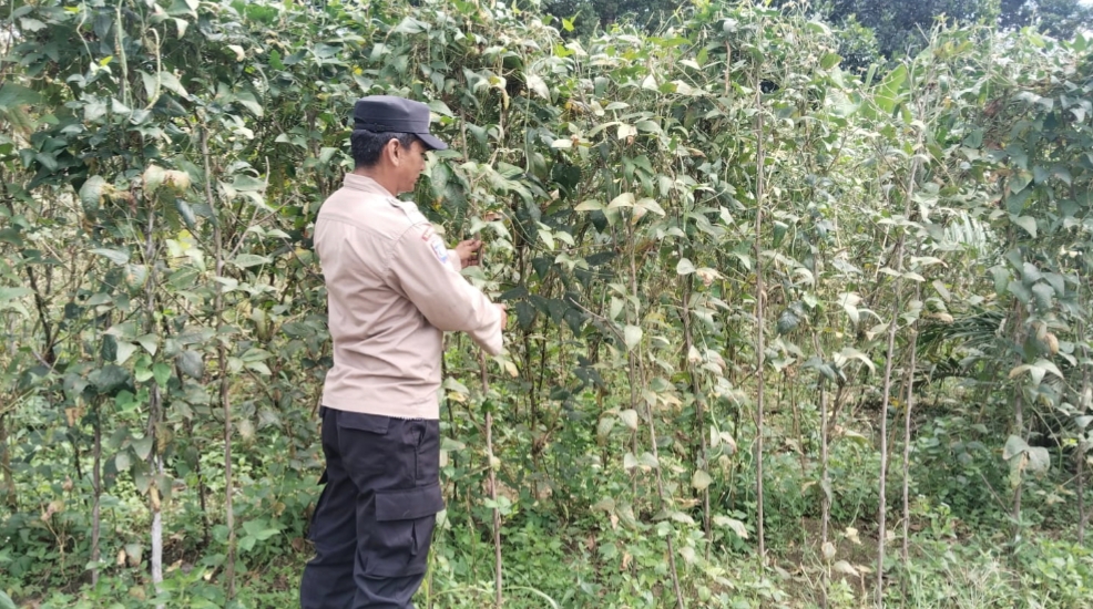 Personel Polsek Tewang Sangalang Garing dan Pulau Malan melaksanakan pengecekan lokasi pemanfaatan lahan pekarangan warga Binaannya