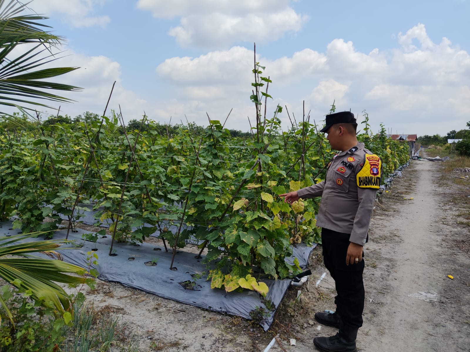 Personel Polsek Tewang Sangalang Garing dan Pulau Malan melaksanakan pengecekan lokasi pemanfaatan lahan pekarangan warga Binaannya