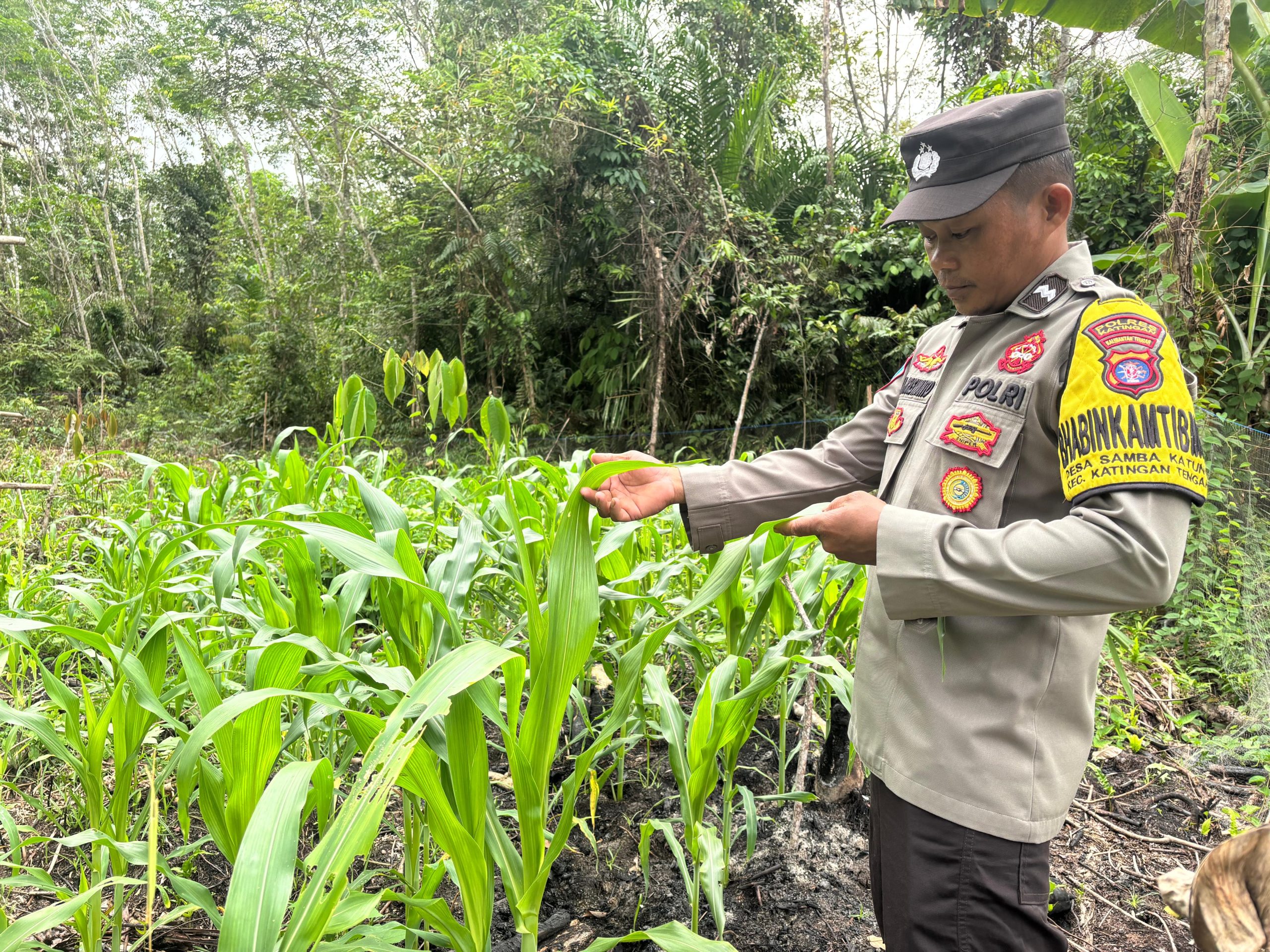 ‎Polsek Katingan Tengah Imbau Warga Tingkatkan Pemanfaatan Lahan Untuk Ketahanan Pangan