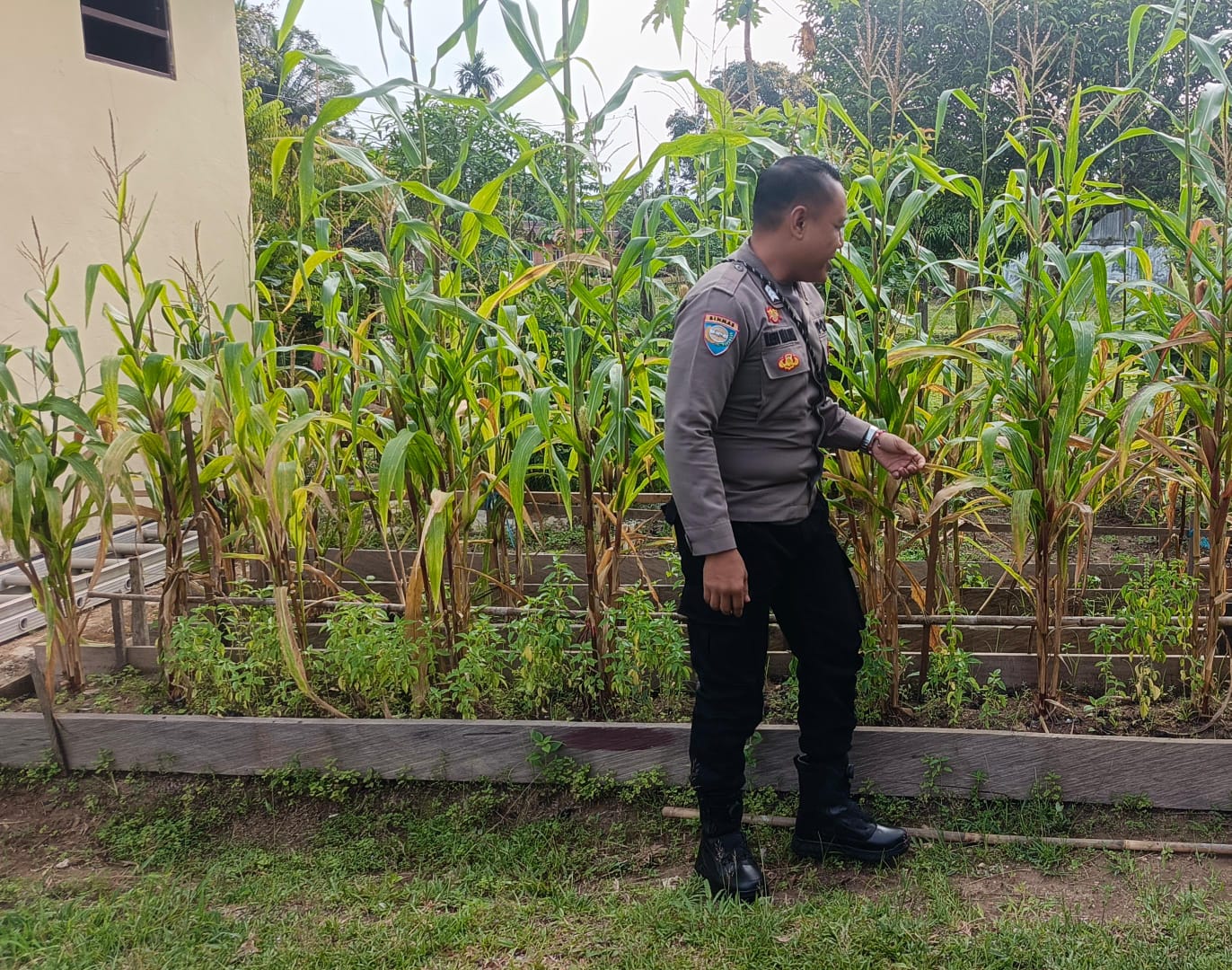 Mendukung Ketahanan Pangan, Personil Polsek Katingan Hulu Cek Lokasi Pemanfaatan Pekarangan Warga.