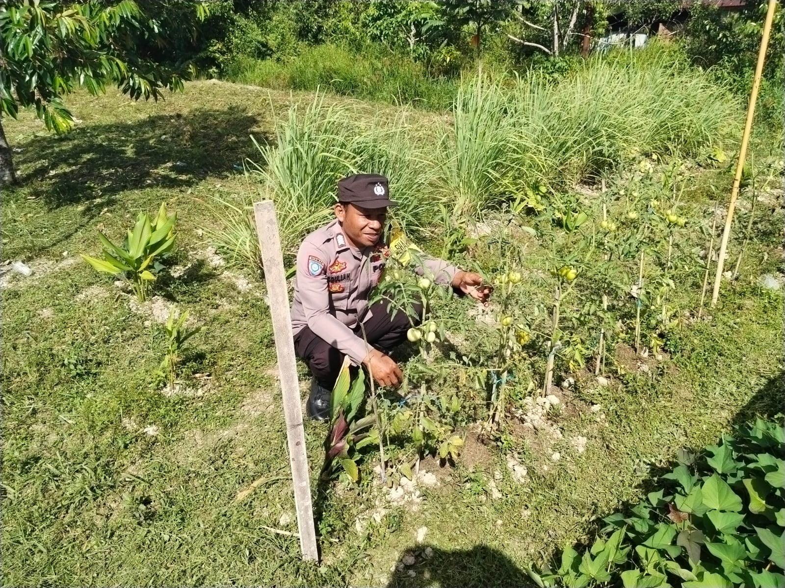 Dalam Rangka Mendukung Program Pemerintah, Bhabinkamtibmas Desa Tewang Kampung Polsek Mendawai Cek Lokasi Pemanfaatan Lahan Pekarangan Warga