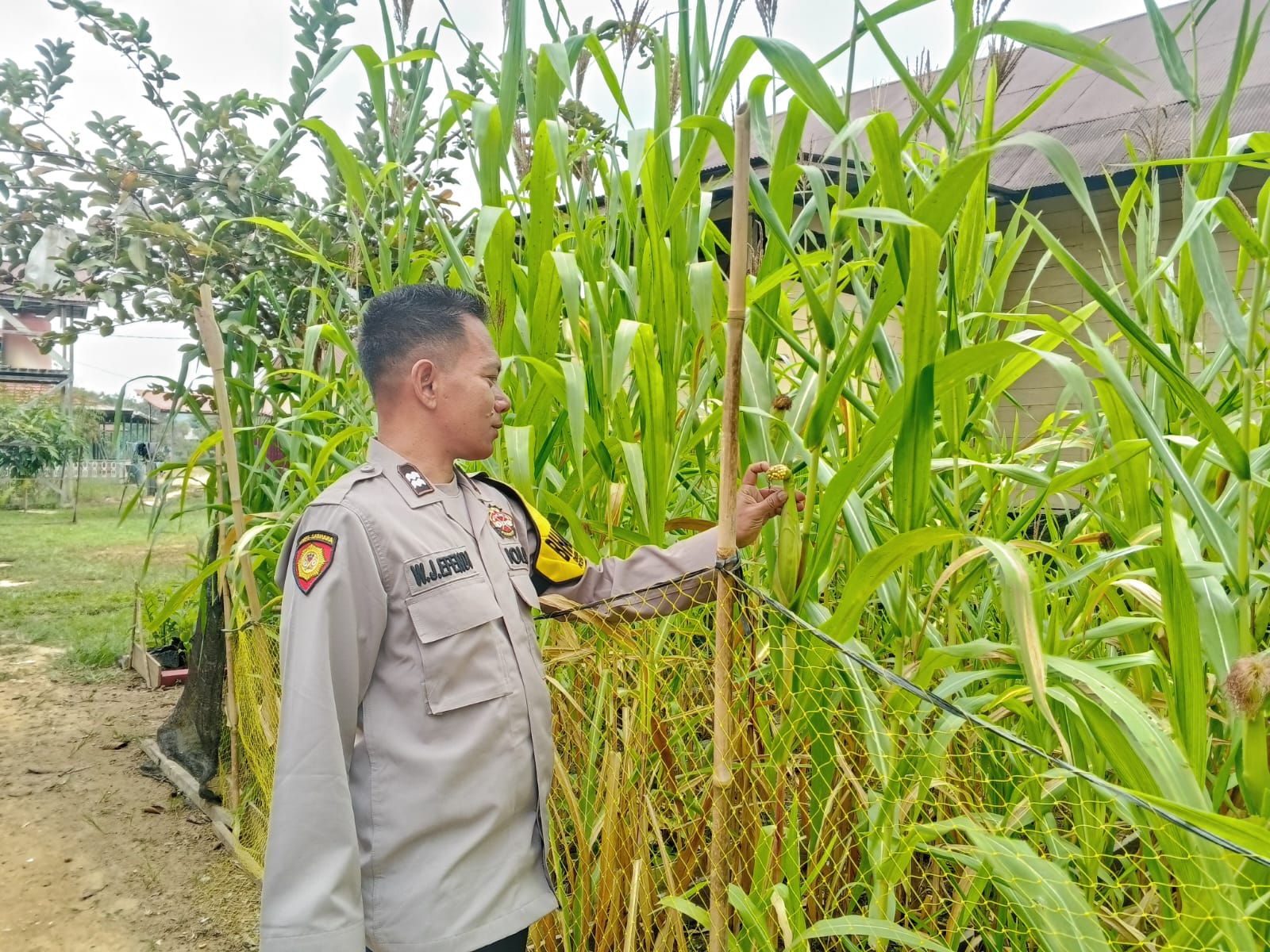Mendukung Ketahanan Pangan, Personil Polsek Katingan Hulu Cek Lokasi Pemanfaatan Pekarangan Warga.